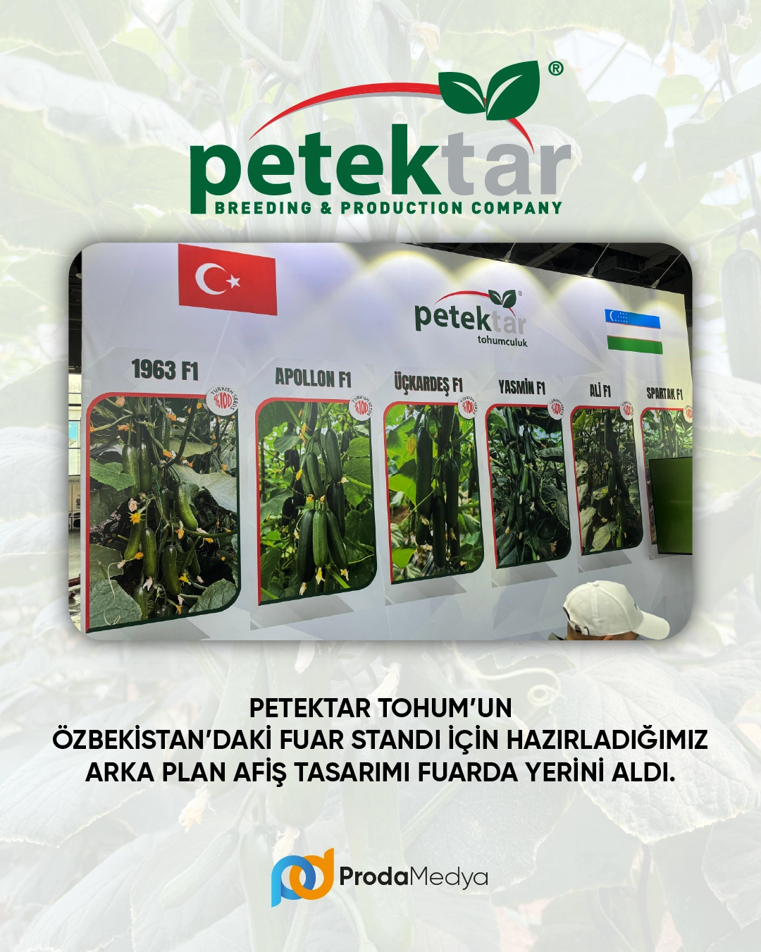 Petektar Tarım Fuar Poster Tasarım Çalışması